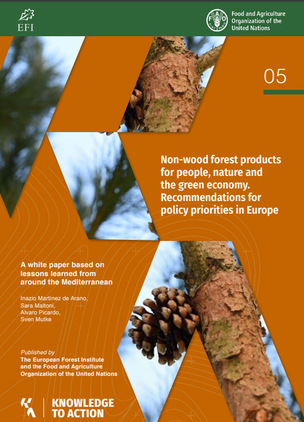 Non-wood forest products for people, nature and the green economy