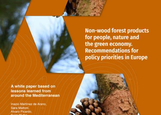 Non-wood forest products for people, nature and the green economy